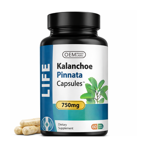 นิว คาลันโชเอ พินนาตา (Bryophyllum Pinnatum) 60 แคปซูล 750 มก. อาหารเสริมเพื่อสุขภาพ เกรดอาหาร แบรนด์ OEM อายุการเก็บรักษา 2 ปี - Product Image 1