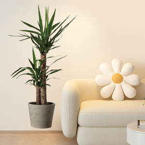 Adesivo Murale con Piante in Vaso <span class=keywords><strong>per</strong></span> Soggiorno, Camera da Letto, Corridoio, Decorazione di Sfondo, Carta da Parati Autoadesiva in PVC <span class=keywords><strong>per</strong></span> Festività - Product Image 5