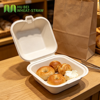 Boîte alimentaire jetable à charnière en canne à sucre sans PFAS, 4x4 pouces, pour snacks/pâtisseries à emporter – Direct Usine