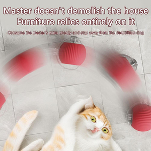 Cute Smart Hot Sale New Design Interactive Eco-Friendly Silicone <b>ABS</b> Customized Color Ball Tail Accessories Rolling Toys for - Product Image 2