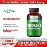 Capsules végétaliennes de choline 500 mg à marque privée OEM pour le soutien cognitif, la santé du foie et le bien-être maternel