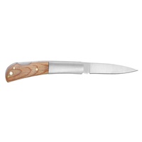 Léger point de chute étroit lame traversin brun Pakkawood poignée lanière trou serrure arrière petite taille couteau de poche pour la Promotion