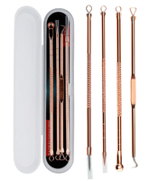 Kit d'extraction de comédons en acier inoxydable, éliminateur de points noirs, aiguille pour boutons