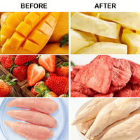 Lyophilisateur automatique sous vide pour fruits et légumes, idéal pour les petites entreprises et les mini-productions domestiques, en acier inoxydable, capacité 5 kg