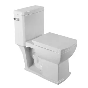 T105美国市场现代风格浴室一体式碗陶瓷卫生洁具落地式马桶套装UPC抽水马桶方形座椅