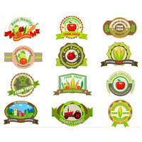 Étiquettes autocollantes de fruits personnalisées à séchage UV, en vinyle, PVC, imperméable, avec impression, Logo, sur mesure, pour fabrication d'aliments, pièces