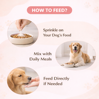 Suplemento en Polvo de Aceite de Pescado con Probióticos para Perros y Gatos OEM, Absorción Rápida, Refuerzo Inmunológico, Alivia la Flatulencia y la Hinchazón, Salud Digestiva