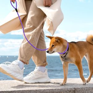 Classico 6 pz 5FT guinzaglio per cani in Nylon resistente comodo per cani di piccole dimensioni - Product Image 4