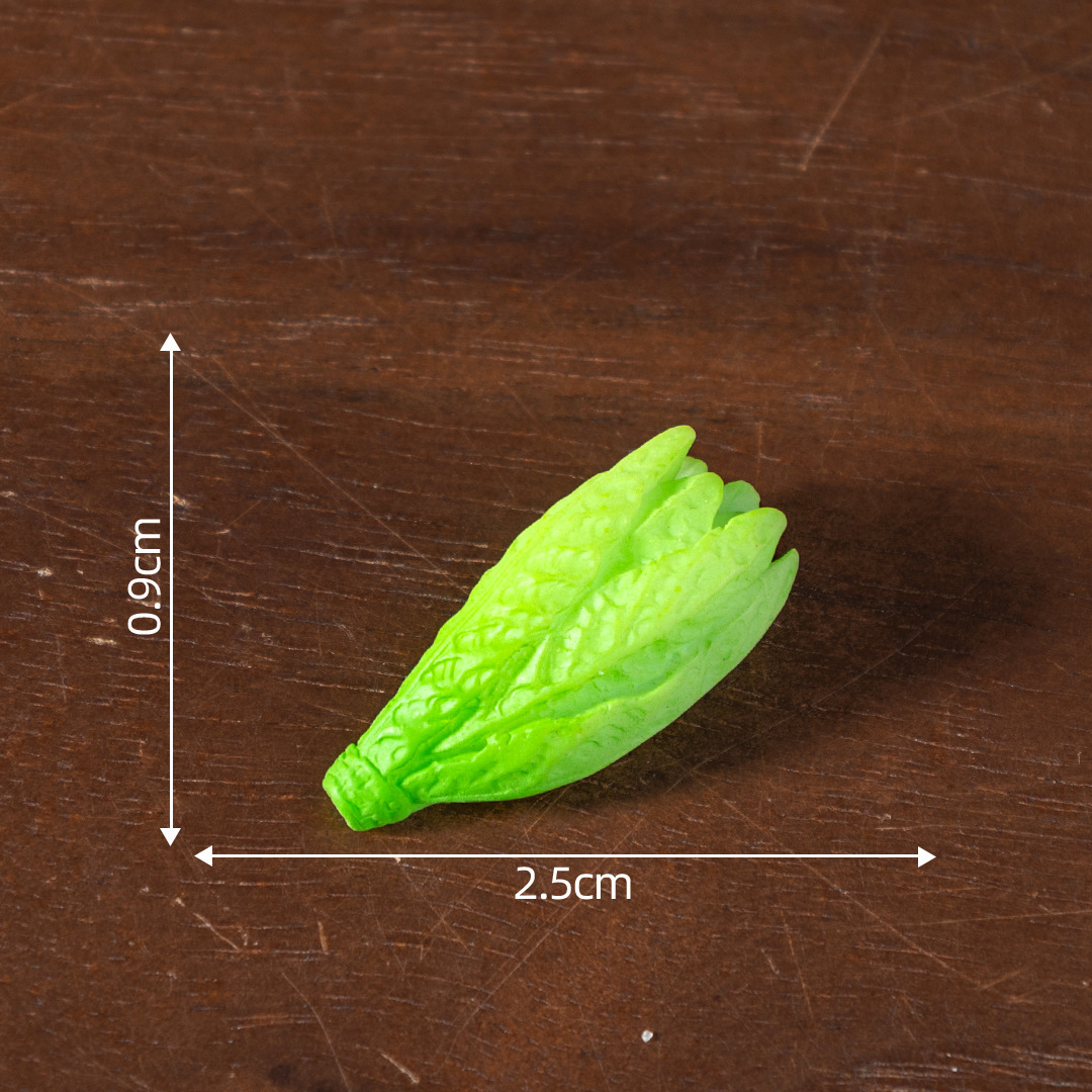 colorful 7. Romaine lettuce