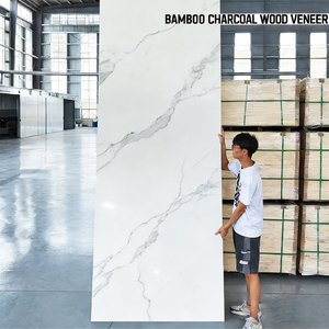 Pannelli in PVC Effetto Marmo, Pannelli Decorativi in Carbone di Bambù per Pareti di Ville, Appartamenti e Interni - Product Image 2