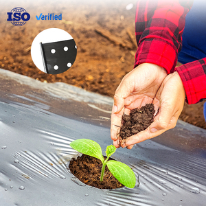 Preto/Prata/Limpar 50cm Ampla Anti-UV Mulch Filme À Prova de Umidade Plástico Macio Cobertura Do Solo com Buraco Negro PE Mulching Folhas - Product Image 2