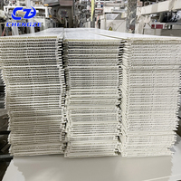 Panneaux de faux plafond en PVC en gros d'usine avec des designs de plafond suspendu
