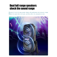 Hot Selling Outdoor Portable 15W * 2 Output Party Lautsprecher mit RGB-Leuchten mit kabel gebundenem Mikrofon Square Dance Lautsprecher
