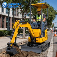 Mini-excavatrice sur chenilles de 1 tonne avec cabine climatisée, moteur diesel, pour la gestion des terres, les travaux agricoles et l'aménagement paysager