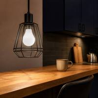 Ampoule LED A60 14W 1400Lm 3000K-10000K pour plafonnier, lampe de table, vente en gros, décoration de cuisine, chambre à coucher