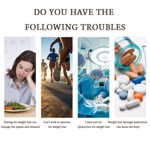 Tè Dimagrante Organico YCT per Pancia Piatta in 14 Giorni - Perdita di Peso Rapida e Brucia Grassi, Origine Henan - Product Image 4