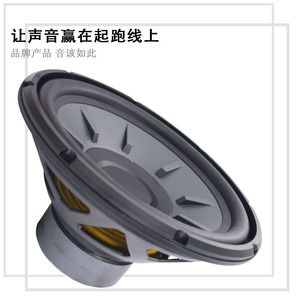 Subwoofer de voiture Stage 1210 12 pouces 1000W Max Double Bobine 4 Ohms Noir - Product Image 2