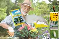Trampas Adhesivas para Insectos BestWin, Tabla Adhesiva para Plantas, Trampa para Mosquitos, Sin Veneno, Atrapa Moscas Blancas y Pulgones para el Hogar y el Jardín