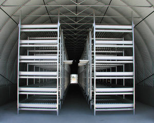 Button Mushroom Growing Rack Shelves Adjustable Layers For Agaricus Bisporus <b>Cultivation</b> - Product Image 1