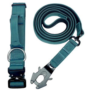 Ensemble de collier et laisse de luxe pour animaux de compagnie, accessoires robustes en acier inoxydable avec anneau en D, pour chiens de berger, labrador et grands chiens - Product Image 4