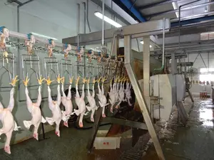 Ligne de traitement de la viande de poulet, équipement d'abattage de volaille