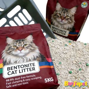 Litière pour chat de qualité, écologique, biodégradable, à base de bentonite, faible teneur en poussière, petites particules, agglomérante, désodorisante, 5 kg, marque Benjie, facile à utiliser - Product Image 1