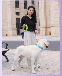 JXANRY-Correa para perro, cómoda, a prueba de explosiones, para exteriores, para perros grandes, multifuncional - Product Image 4