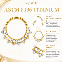 Anneau segmenté à charnière en titane G23 de qualité supérieure avec incrustation de zircone cubique taille baguette et ronde, double usage pour piercing nez et oreille