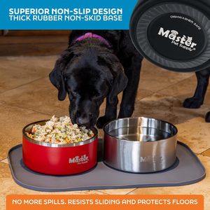 Tazón de Agua para <span class=keywords><strong>Perros</strong></span> <span class=keywords><strong>y</strong></span> Gatos de Acero Inoxidable Master Pet Supply, 128 oz, Resistente, Doble Pared Aislada, Antideslizante, Libre de BPA, Duradero, Antioxidante - Product Image 5