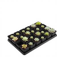 RooTrimmer 5 Paket 24 Pot Pembibitan Sel 24, 2,8 Inci (7CM) Persegi 120pcs (Hitam) Baki Pembibitan Plastik PS dengan Lubang Drainase