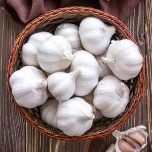 Aglio Fresco Naturale di Alta Qualità Disponibile in Stock / Nuovo Raccolto di Aglio con Certificazioni ISO 22000/HACCP/GLOBAL GAP - Vendita all'Ingrosso - Product Image 2