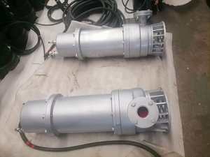 ปั๊มน้ำเสียแบบป้องกันการระเบิด WQB 380V-660V 100-600 ลิตร/ชม. 2.2-550 กิโลวัตต์ เหล็กหล่อ/SS304 แรงดันต่ำ 3 เฟส 50/60Hz - Product Image 5