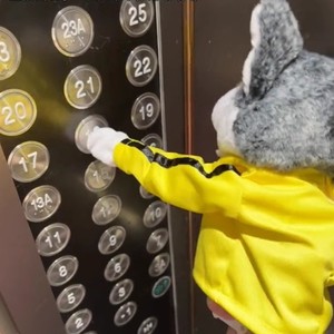 Хаски Интерактивная кукла, непослушная и свирепая кукла боксерская собака, мультяшная плюшевая игрушка - Product Image 2