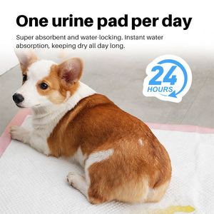 Tapis d'apprentissage et de remplacement pour chiens et chiots, jetables, super absorbants, anti-fuites, 60x90cm XL, pour l'entraînement à la propreté des animaux de compagnie, vente directe usine - Product Image 1