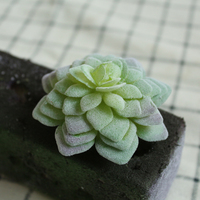 Plantes artificielles succulentes à faible MOQ, série DIY pour la décoration intérieure et extérieure