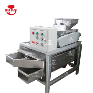 Fabriekslevering Automatische Roestvrijstalen Noten Slippende Pistache Cashewstrip Snijmachine Hazelnoot Pinda Amandelsnijmachine - Product Image 5