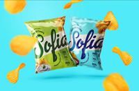 Sachet Doypack Personnalisé Imprimé Qualité Alimentaire avec Fermeture Zip pour Chips de Pommes de Terre Matière OPP/VMPET/PE Option Logo Personnalisé