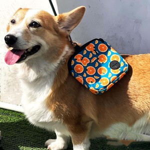 Free sample High Quality Waterproof Walking Waste Pet Food Large Storage <b>Dog</b> Training Treat Pouch with <b>Water</b> <b>Bottle</b> Holder - Product Image 3