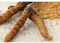 Capsules personnalisées de Cordyceps Militaris d'extrait de plantes enrichi en vitamine ISO9001/Halal/Casher/GMP de marque privée en bouteille