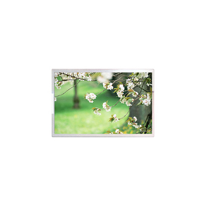 แล็ปท็อปหน้าจอแสดงผล LCD TM156CDSP01 15.6 นิ้ว 3840RGB*2160 UHD 282PPI 16.7M 72% NTSC - Product Image 1