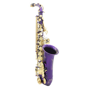 <span class=keywords><strong>Saxophone</strong></span> <span class=keywords><strong>alto</strong></span> étudiant adulte commerce extérieur avec goutte de laque d'or E conduit en laiton violet BB & EB ton - Product Image 3