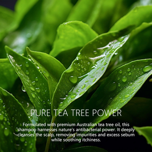 Private Label Tea Tree <span class=keywords><strong>Shampoo</strong></span> per oleoso <span class=keywords><strong>antiforfora</strong></span> Formula vitamina C lavanda rosmarino olio per forfora secco cuoio capelluto detergente - Product Image 4