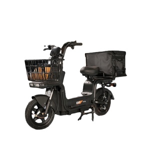 E-Trike Medico 48V al Piombo-Acido con 3 Velocità, Sensore Digitale, Conforme ADA, Monitoraggio Segni Vitali ad Alta Velocità, E-Bike Urbana - Product Image 1