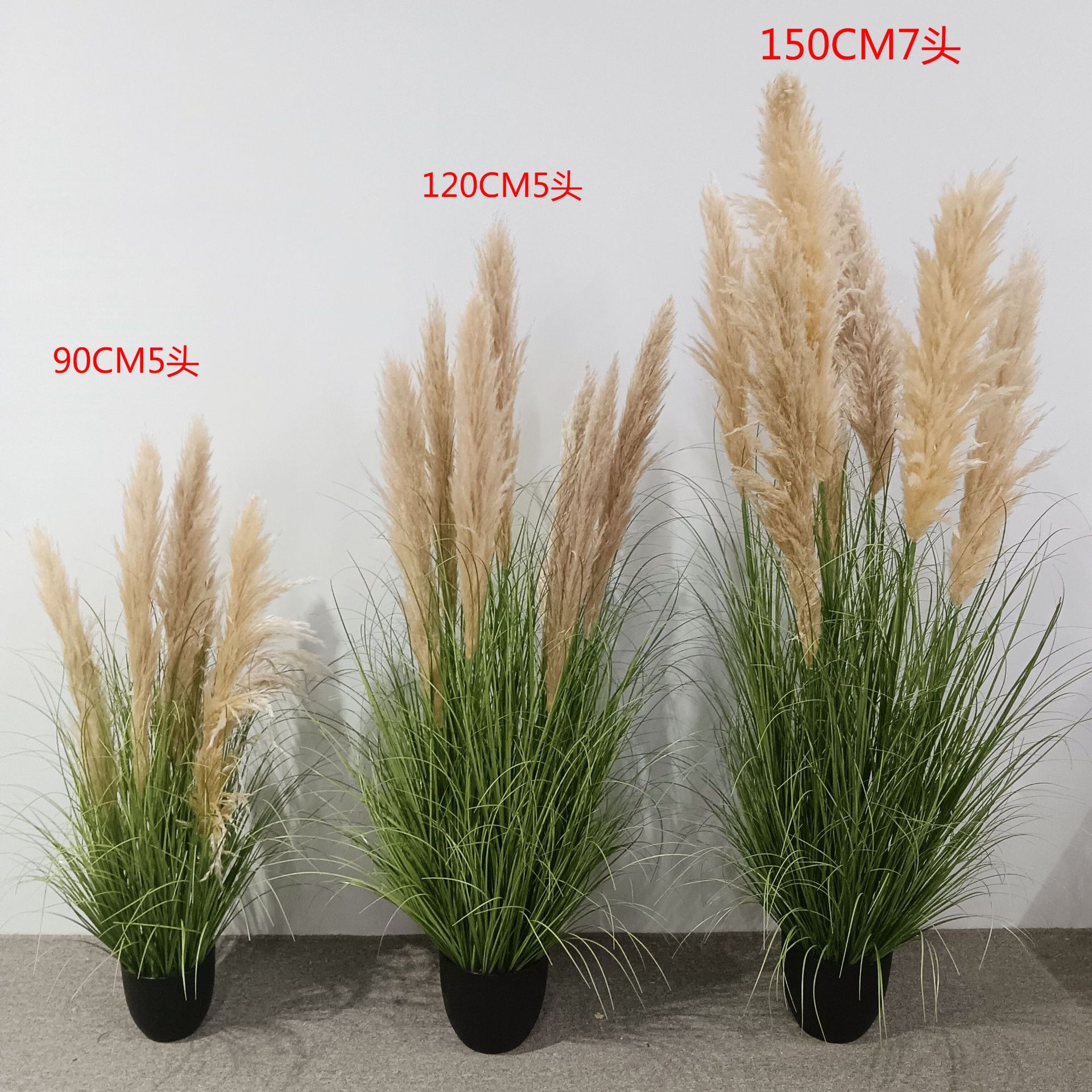 bassin à explosion printanière