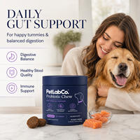 Friandises Probiotiques pour Chiens en Gros – Soutien Digestif Saveur Saumon et Fibres de Citrouille – Complément Doux pour Soins Quotidiens