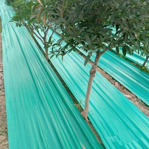 Rouleau de tissu tissé PP de couverture du sol/clôture de limon/géotextile de construction 70g-220g/m2 - Product Image 3