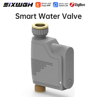Valve d'eau intelligente Zigbee 3.0 Tuya Smart Life, étanche IP66, minuterie d'irrigation automatique, Alexa Google Home pour jardin