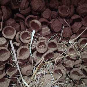 Recién llegado Panchagavya Vilakku vaca estiércol Diya hecho a mano en forma redonda Diya para la venta por los exportadores producto de desecho agrícola - Product Image 2