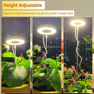 5W Tafelkweeklamp Indoor Kruidentuin Set Gele Kweeklamp Thuis Hydroponische Kweeklampen - Product Image 6
