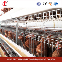 Conception de dessin Cages de batterie de poulet de couche de ferme avicole pour 5000 couches